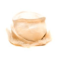 Load image into Gallery viewer, Beach Cloche
